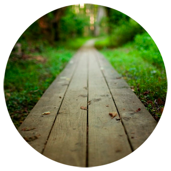 Начало деятельности